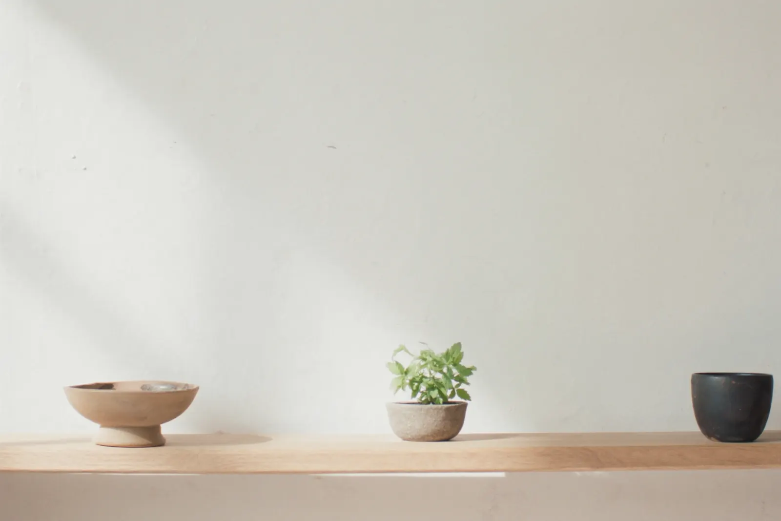 A pale oak shelf holding a clay bowl, a small plant and a dark ceramic cup against a plain wall